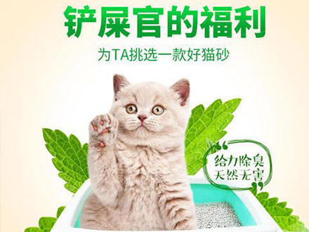 宠物垫圈（猫砂）膨润土